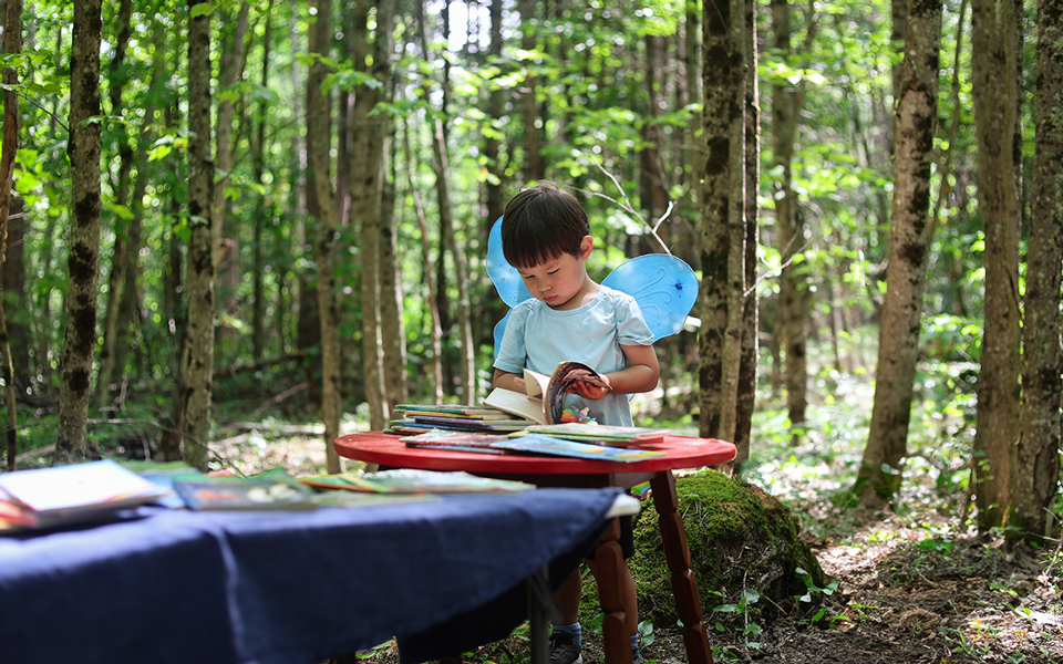 FairyHouseBuildingDay_CascadeFalls_July2024_Ours_Blog29.jpg